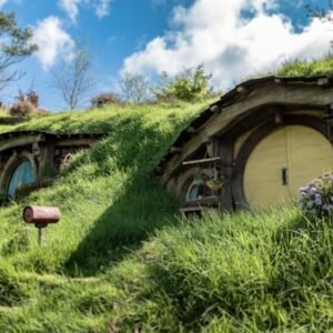 Foin Timothy Premium 1kg